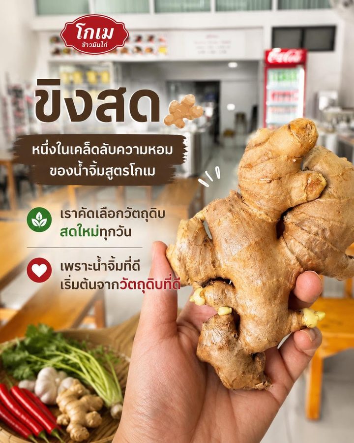โปสเตอร์ ขิงสด